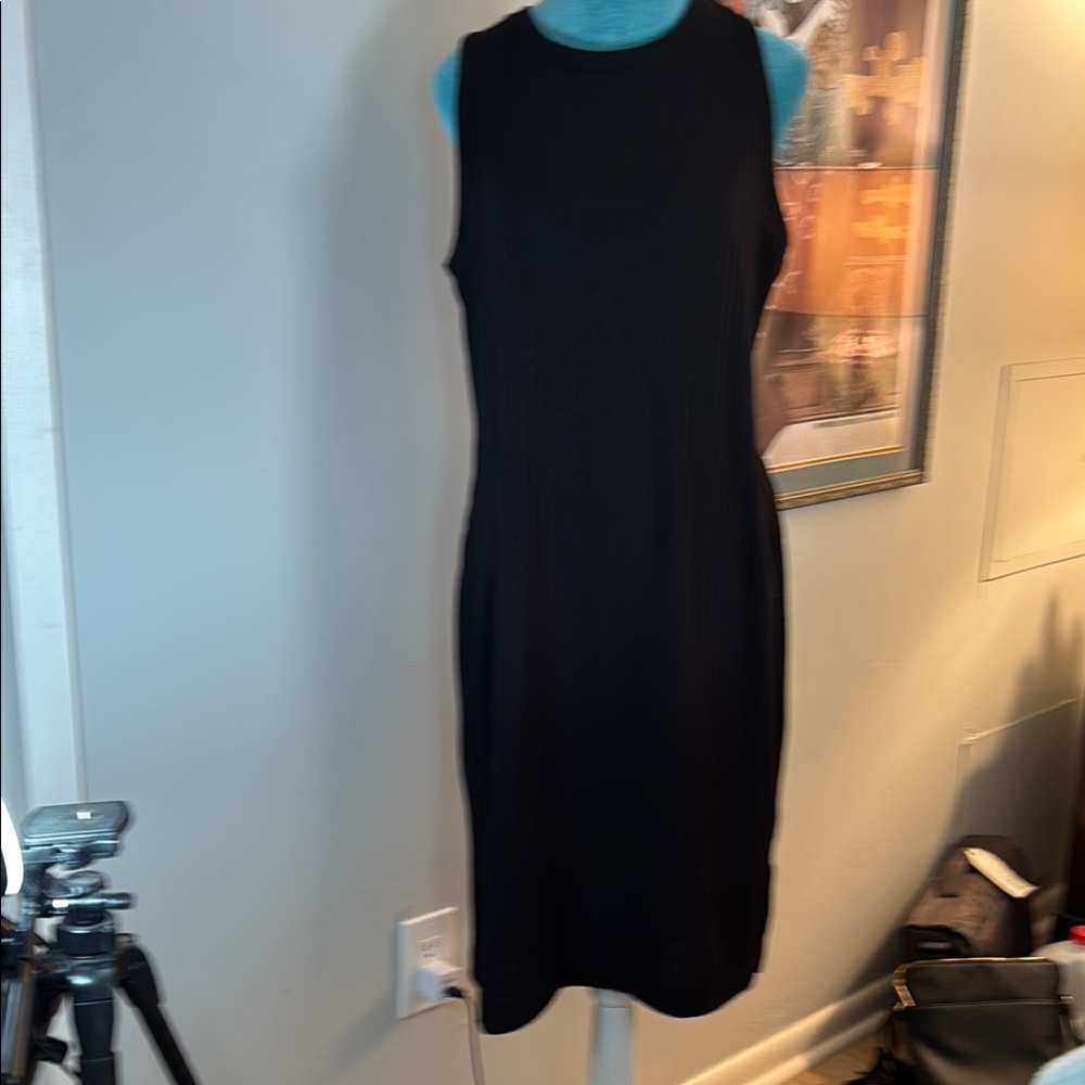 Elegant Black Sleeveless Dress
